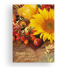 Shop Thanksgiving Cards at Current Catalog