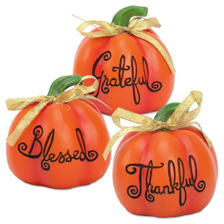 shop Thanksgiving at Current Catalog