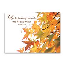 Shop Thanksgiving Cards at Current Catalog