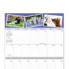 Shop Big Grid Calendars at Current Catalog