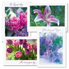 Greeting Cards, All Occasion Cards, & Stationery | Current Catalog