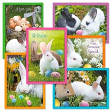Shop Easter Cards at Current Catalog