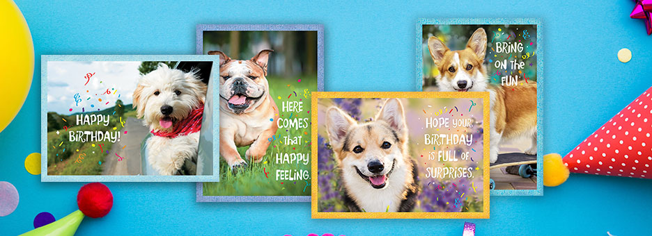 Shop All Birthday Cards at Current Catalog