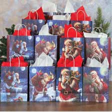 Shop Christmas Gift Bags at Current Catalog