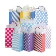 Shop Everyday Gift Bags at Current Catalog