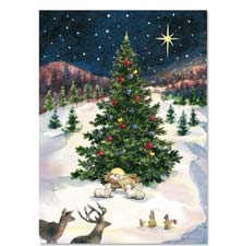 Shop Christmas Cards at Current Catalog