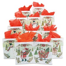 Shop Christmas Gift Bags at Current Catalog