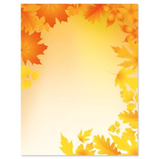 Shop Letter Papers at Current Catalog