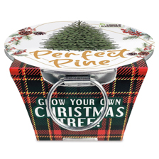 Christmas Themed Gifts