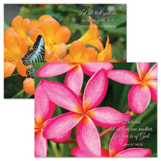 Shop Card Value Packs at Current Catalog Shop Card Value Packs at Current Catalog