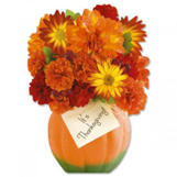 Shop Thanksgiving Cards at Current Catalog