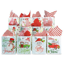 Shop Christmas Gift Bags at Current Catalog