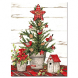 Note Cards