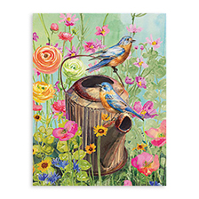 Shop Note Cards at Current Catalog