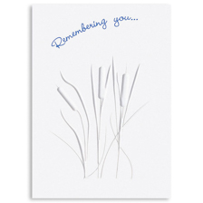 Shop Sympathy Cards at Current Catalog