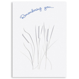 Shop Sympathy Cards at Current Catalog