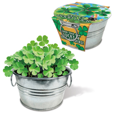 Shop Gifts at Current Catalog