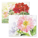 Shop Note Cards at Current Catalog