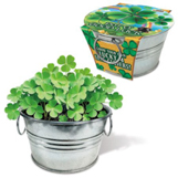 St. Patrick’s Day-themed decor, address labels, and gifts St. Patrick’s Day-themed decor, address labels, and gifts