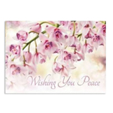 Shop Sympathy Cards at Current Catalog Shop Sympathy Cards at Current Catalog